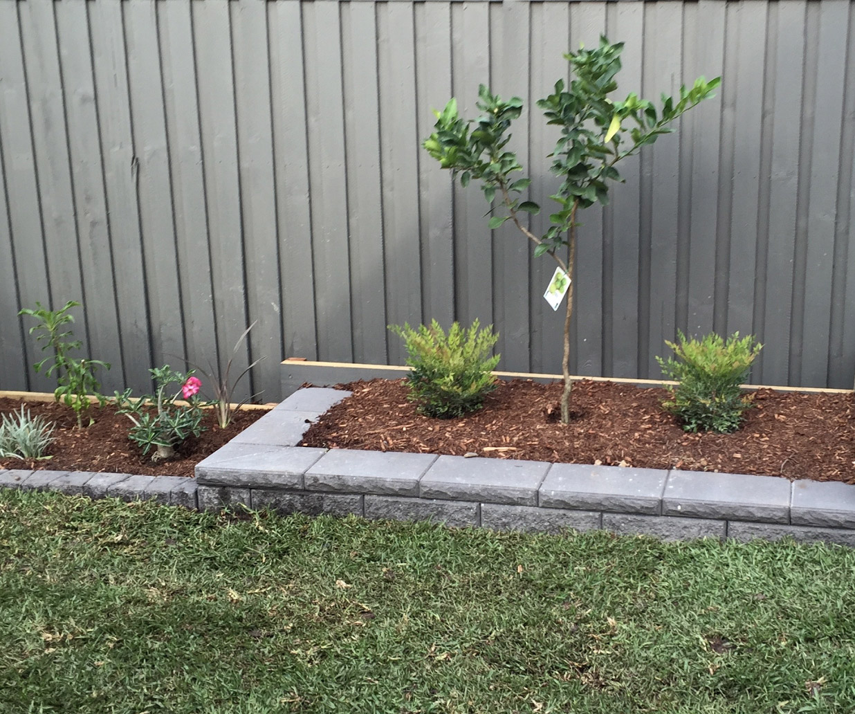 Walls & Edging Brisbane Landscaping & Organic Garden Design